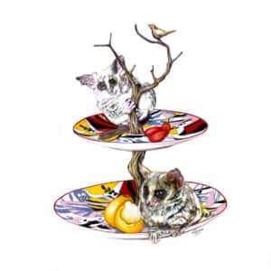 Bushbabies fruit plates Original Drawing
