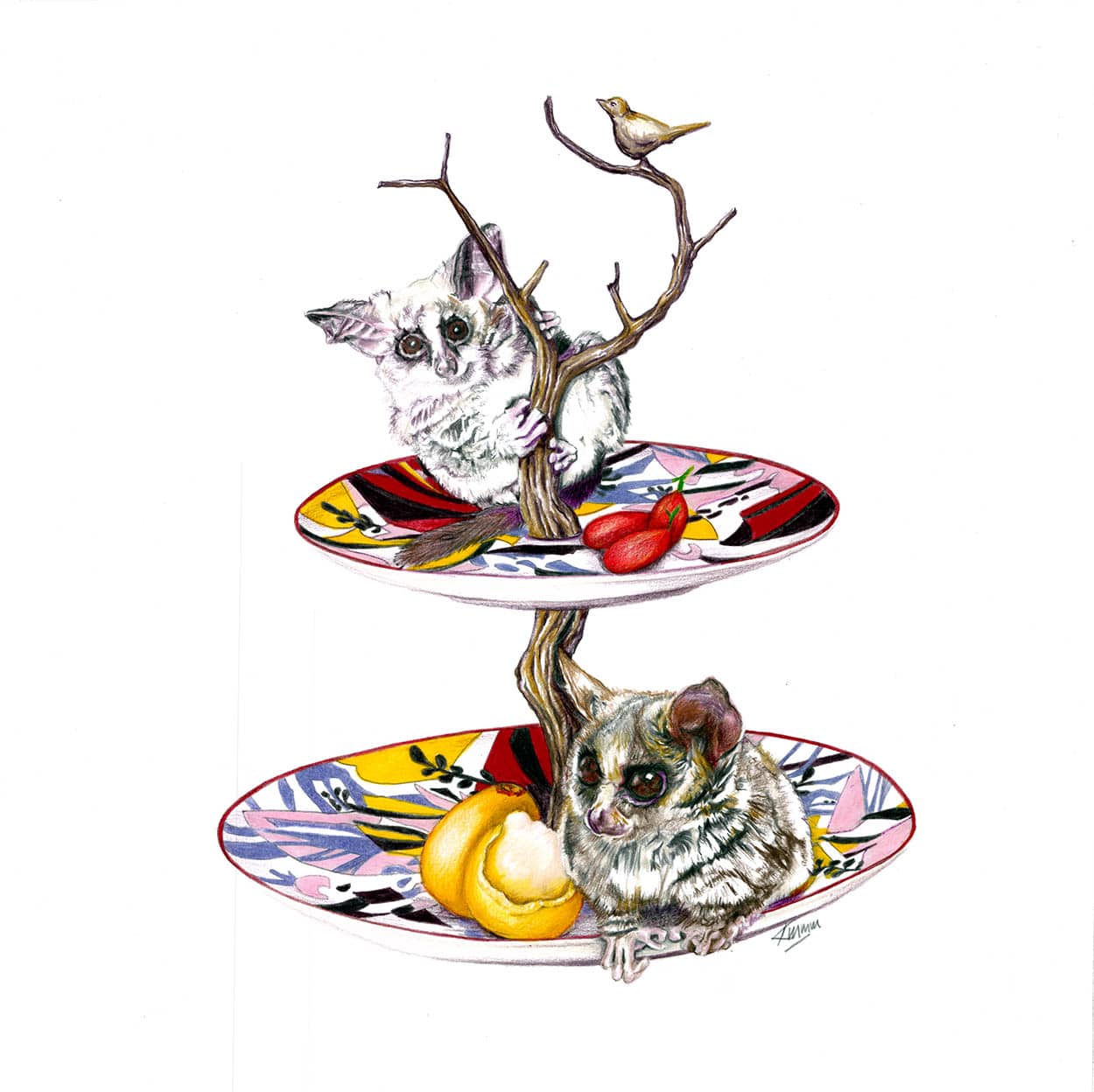 Bushbabies fruit plates Original Drawing