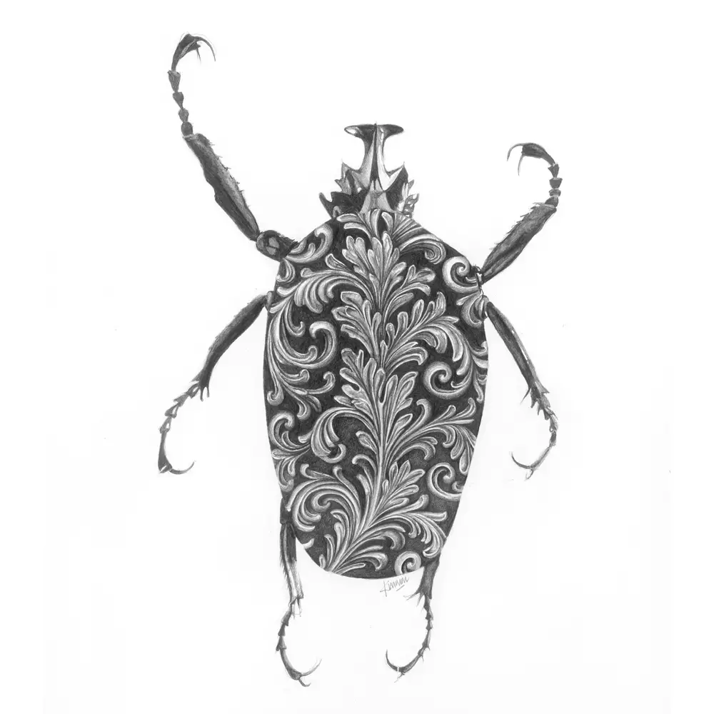 Decorative scroll beetle illustration in artist pen with detailed ornamental line work