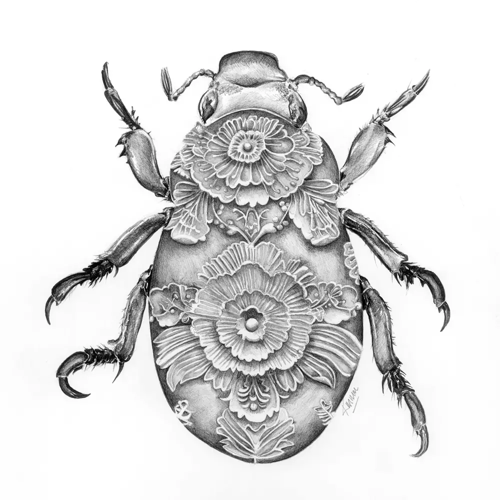 Floral ornamental beetle illustration drawn with artist pen featuring intricate botanical patterns